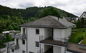 Large Apartment In Willingen With Balcony